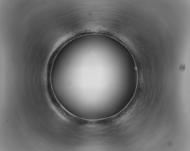 X0000096380630200802071514