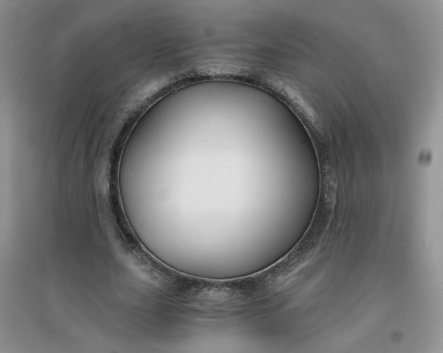 X0000096380631200802071514