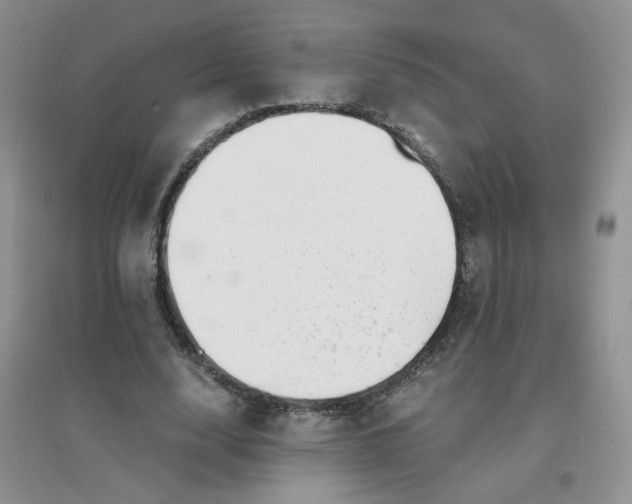 X0000096380632200802071514