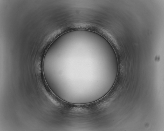 X0000096380633200802071514