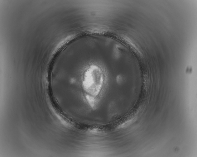 X0000096380634200802071514