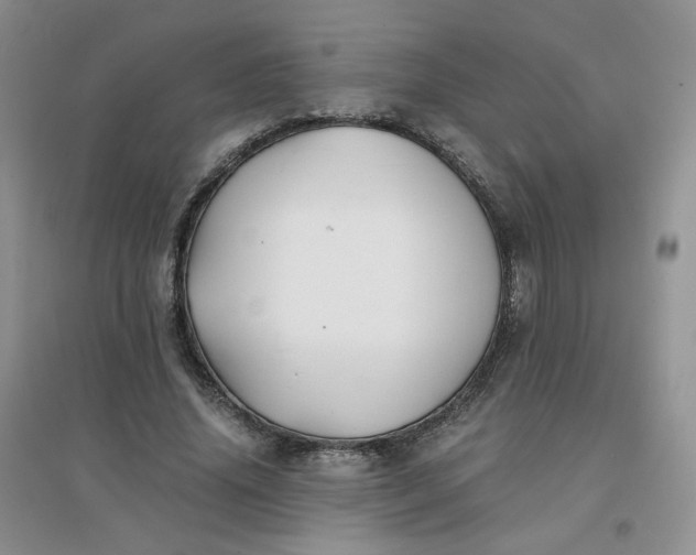 X0000096380636200802071514