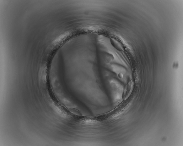 X0000096380637200802071514