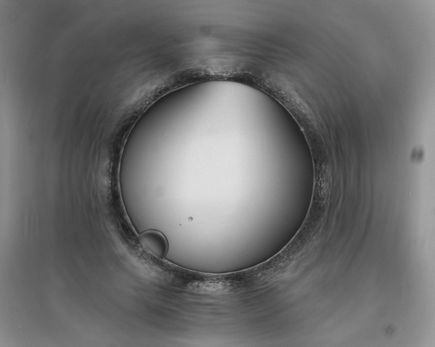 X0000096380639200802071514