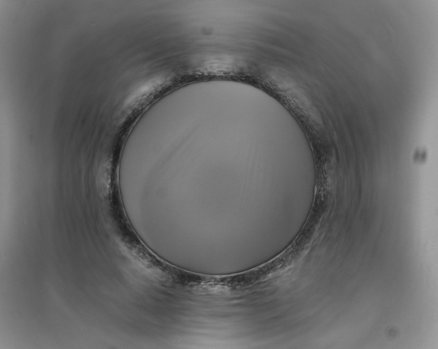 X0000096380640200802071514