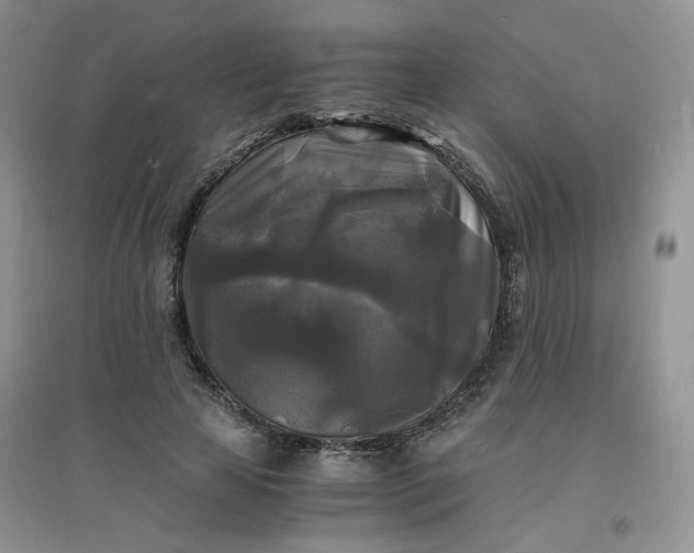 X0000096380641200802071514