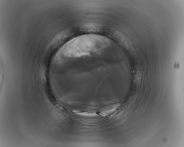 X0000096380643200802071514