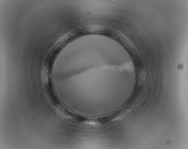 X0000096380644200802071514