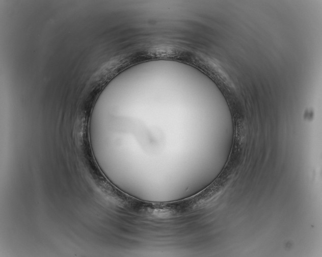 X0000096380645200802071514