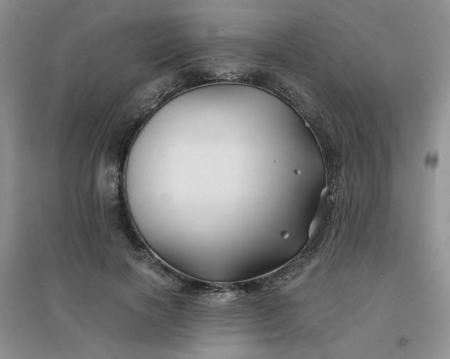 X0000096380646200802071514