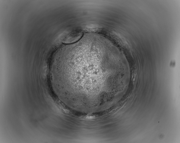 X0000096380647200802071514