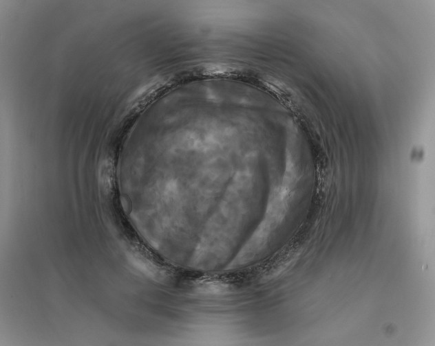 X0000096380648200802071514