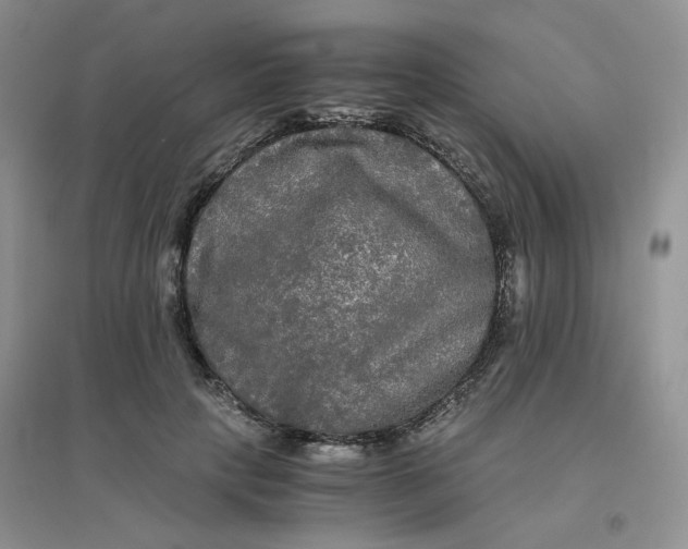 X0000096380649200802071514