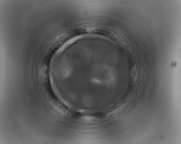 X0000096380650200802071514