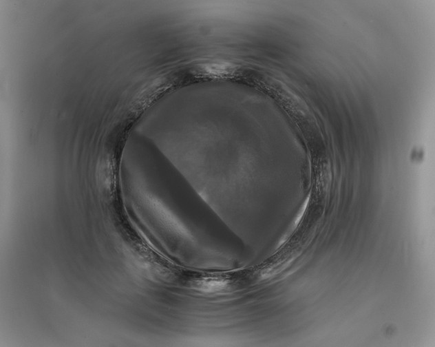 X0000096380651200802071514