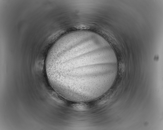 X0000096380652200802071514