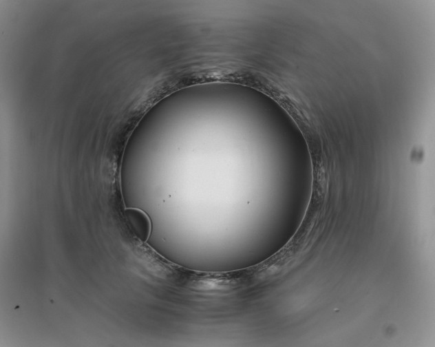 X0000096380657200802071514