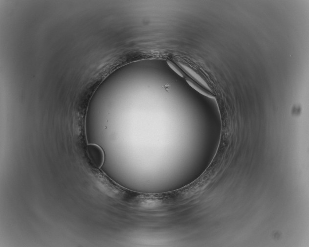 X0000096380658200802071514