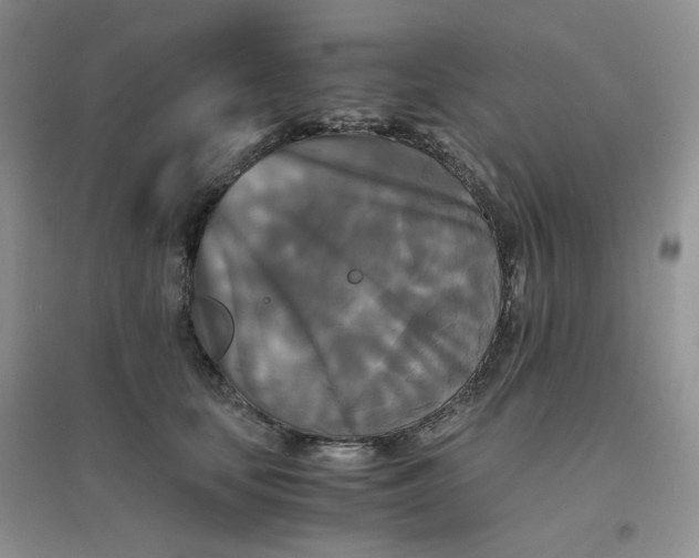 X0000096380659200802071514