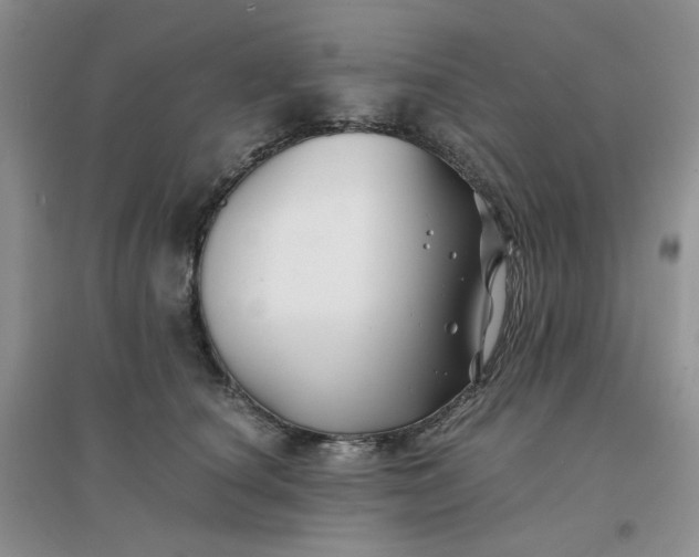 X0000096380660200802071514