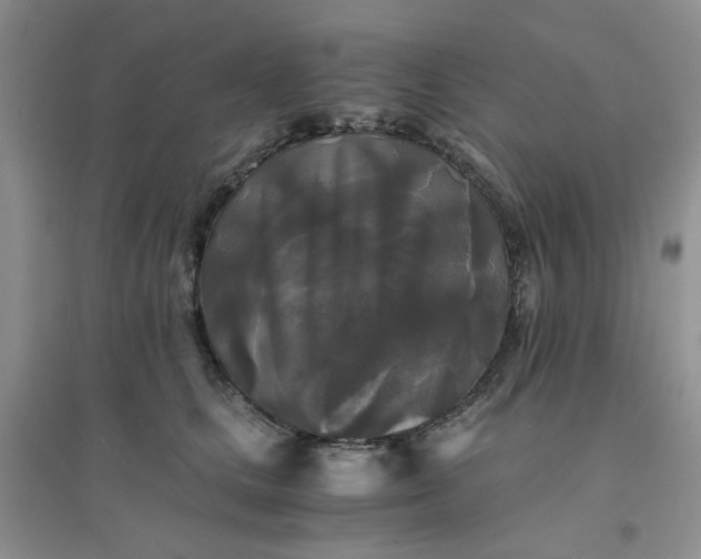 X0000096380661200802071514