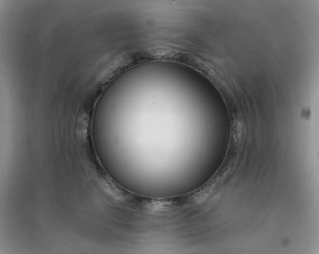 X0000096380664200802071514