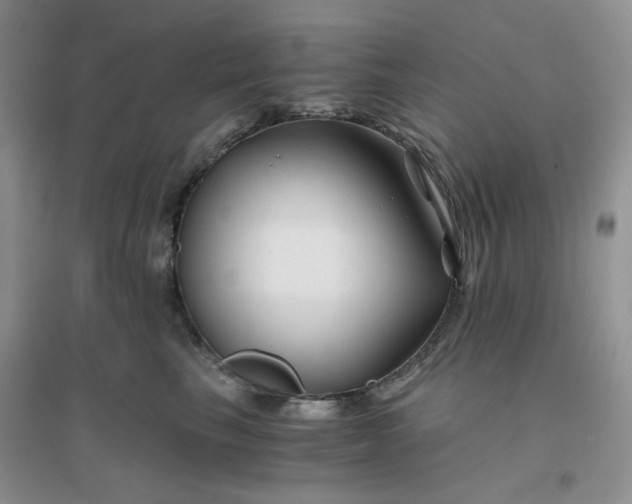 X0000096380665200802071514