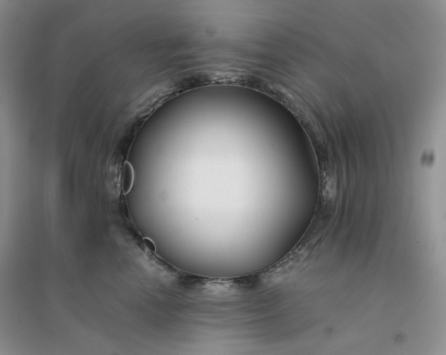 X0000096380666200802071514