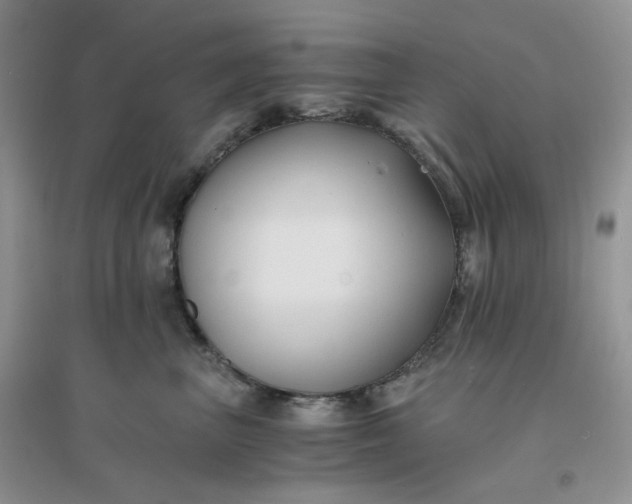 X0000096380667200802071514