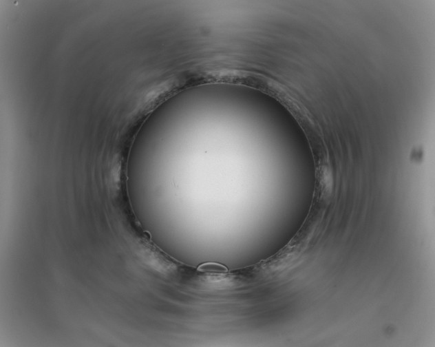 X0000096380668200802071514