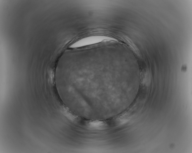 X0000096380669200802071514