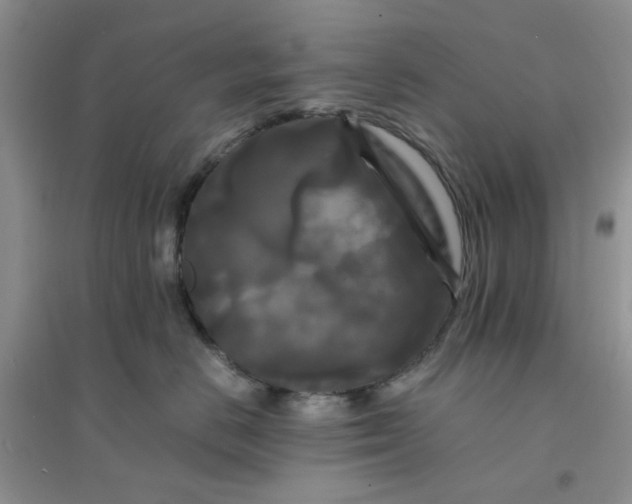 X0000096380670200802071514