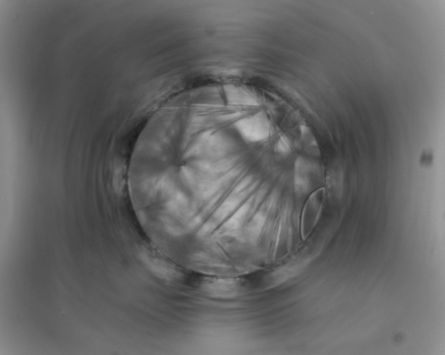 X0000096380671200802071514