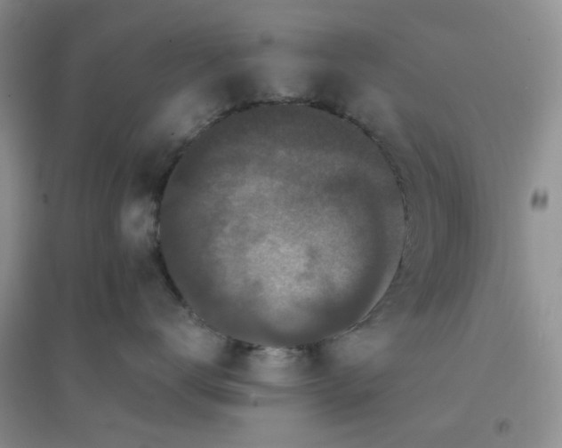 X0000096380672200802071515