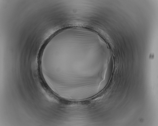 X0000096380674200802071514