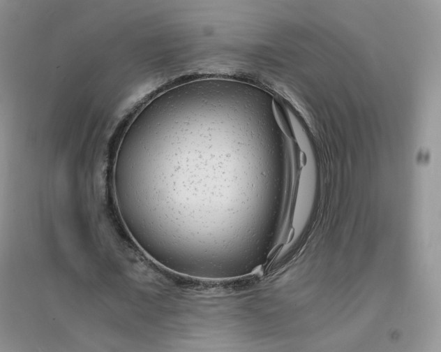 X0000096380675200802071514