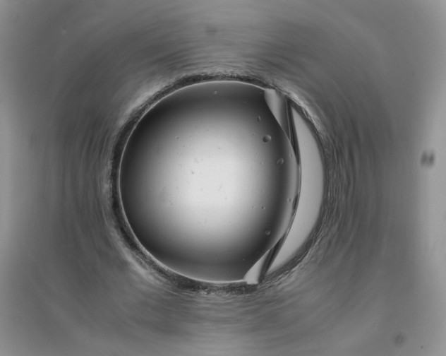 X0000096380677200802071514