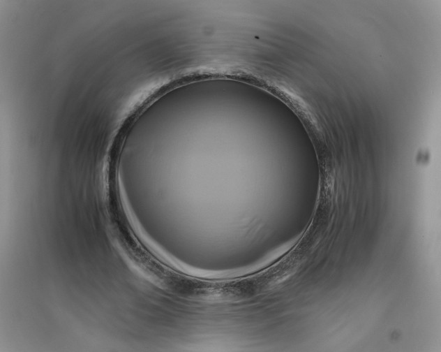 X0000096380678200802071513