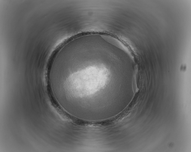 X0000096380680200802071513