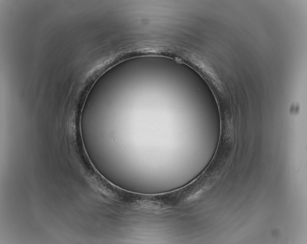 X0000096380681200802071513