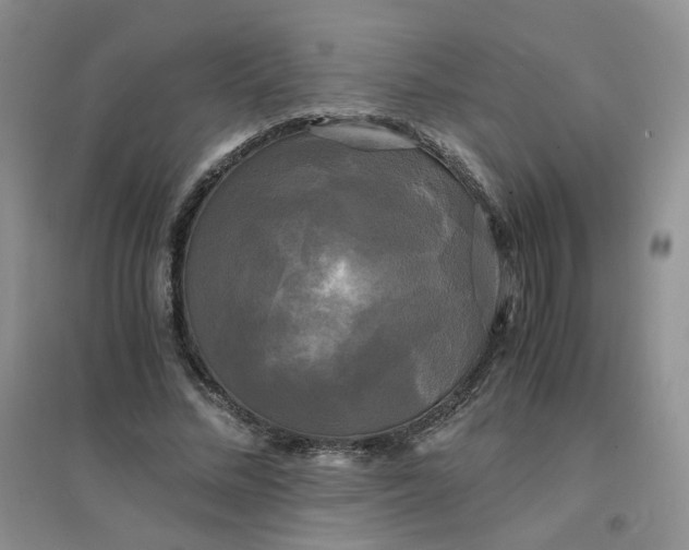 X0000096380684200802071513