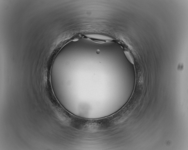 X0000096380685200802071513