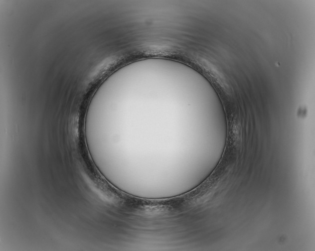 X0000096380686200802071513