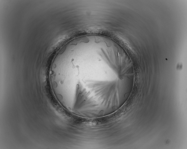 X0000096380687200802071513