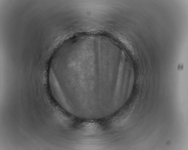 X0000096380689200802071513