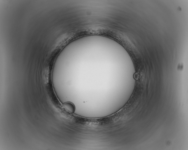 X0000096380694200802071513