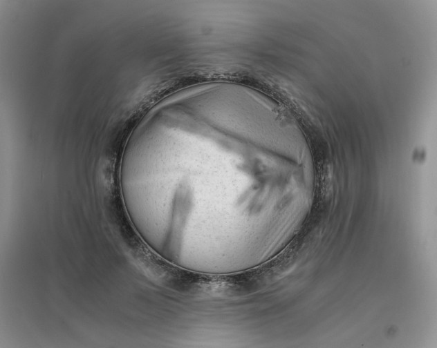 X0000096380695200802071513