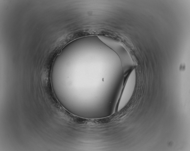 X0000096380697200802071513