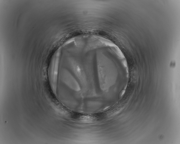 X0000096380699200802071513