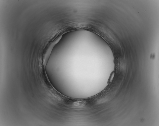 X0000096380700200802071513